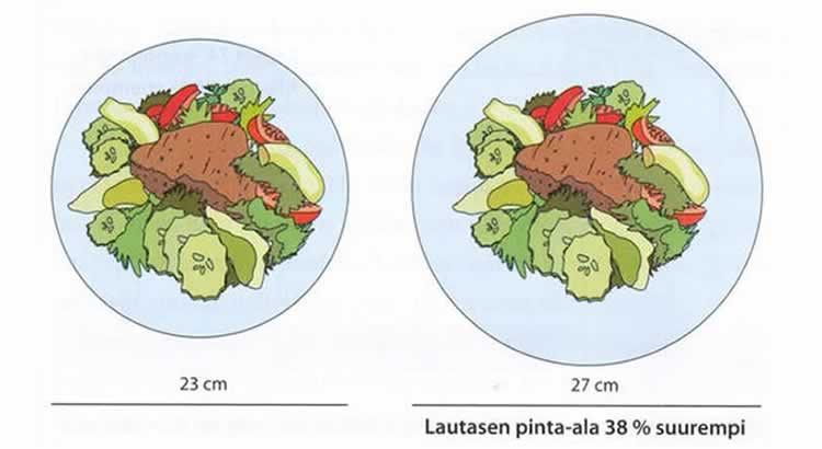 ruokalautasen-koko